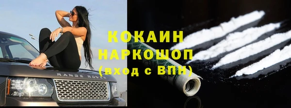 МДПВ Гусев