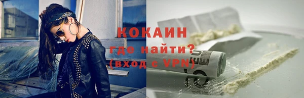 МДПВ Гусев