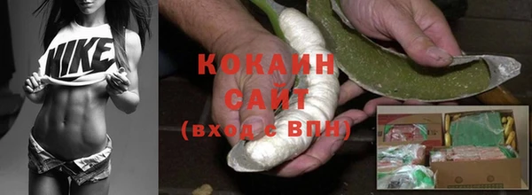 МДПВ Гусев