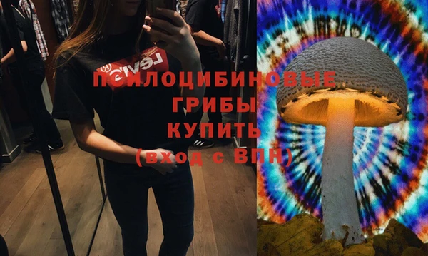МДПВ Гусев