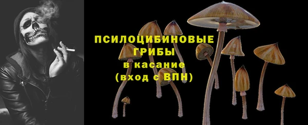 твердый Гусь-Хрустальный