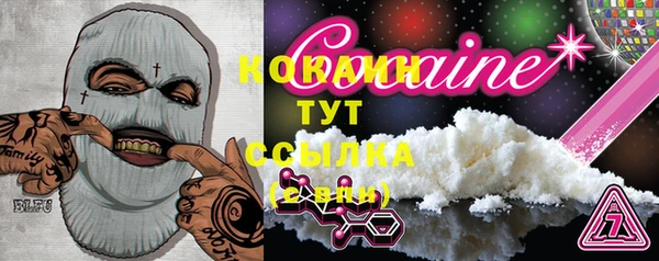 МДПВ Гусев