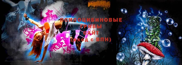 твердый Гусь-Хрустальный