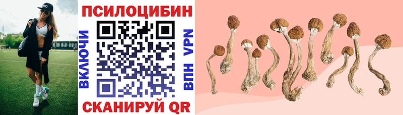 Купить закладки  Каневская  Галлюциногенные грибы прущие грибы 